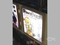 厦门澜天企划设计 匠心打造广告招牌与LED综合解决方案